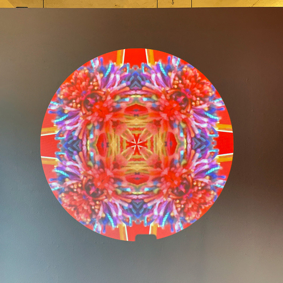 'Here-to-There' with Amanda Triplett | April 3 - 26, 2025