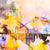 No. 755 Sometimes it Feels Too Difficult